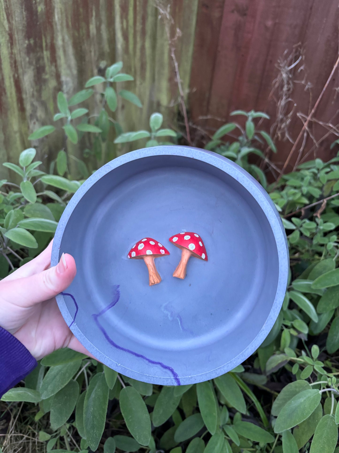 Large 3D Mushroom Dish/Decorative Bowl