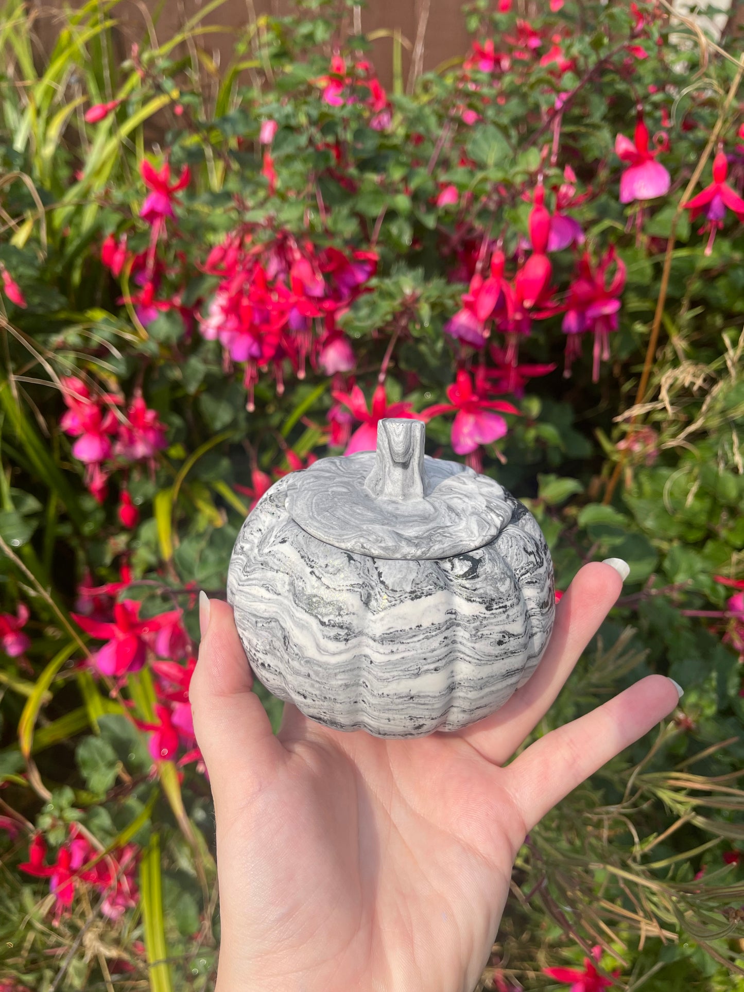 Pumpkin Pot Customisable