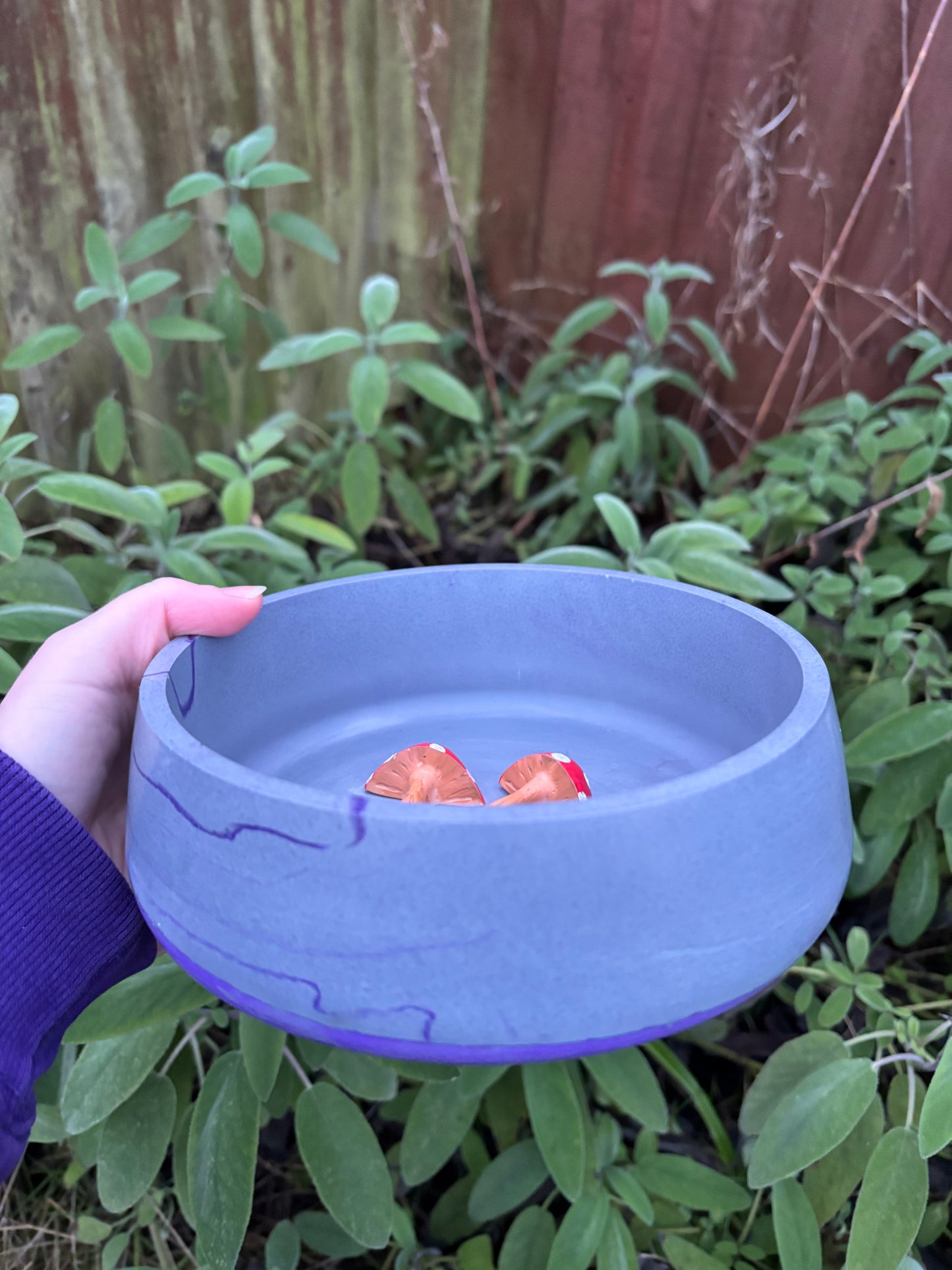 Large 3D Mushroom Dish/Decorative Bowl