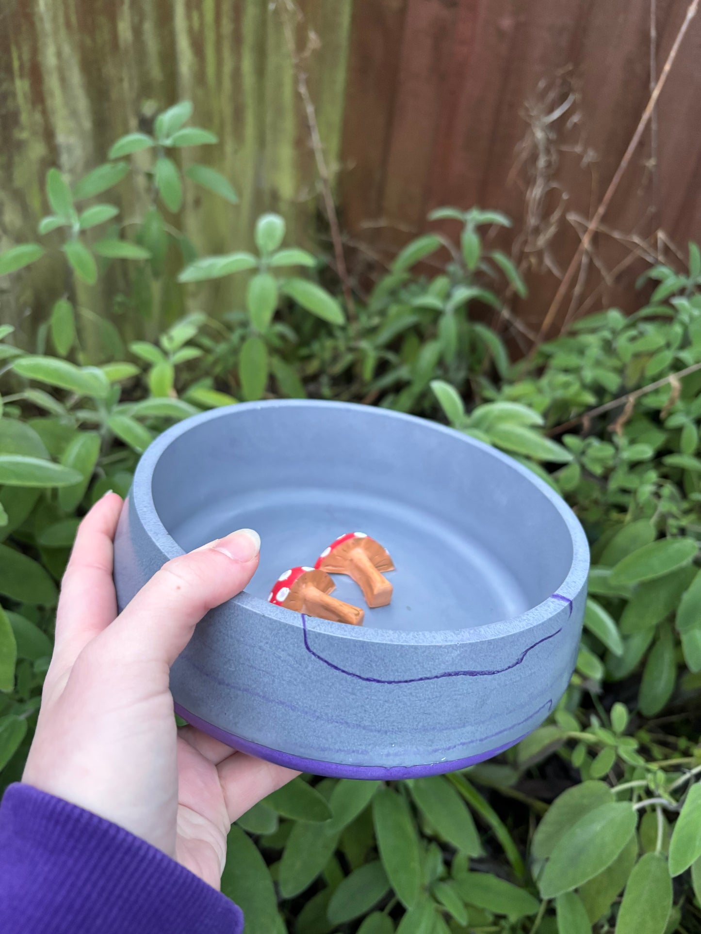 Large 3D Mushroom Dish/Decorative Bowl